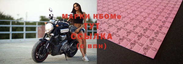 ГАЛЛЮЦИНОГЕННЫЕ ГРИБЫ Горно-Алтайск