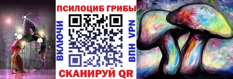 где купить наркотик  Байкальск  Галлюциногенные грибы Magic Shrooms 